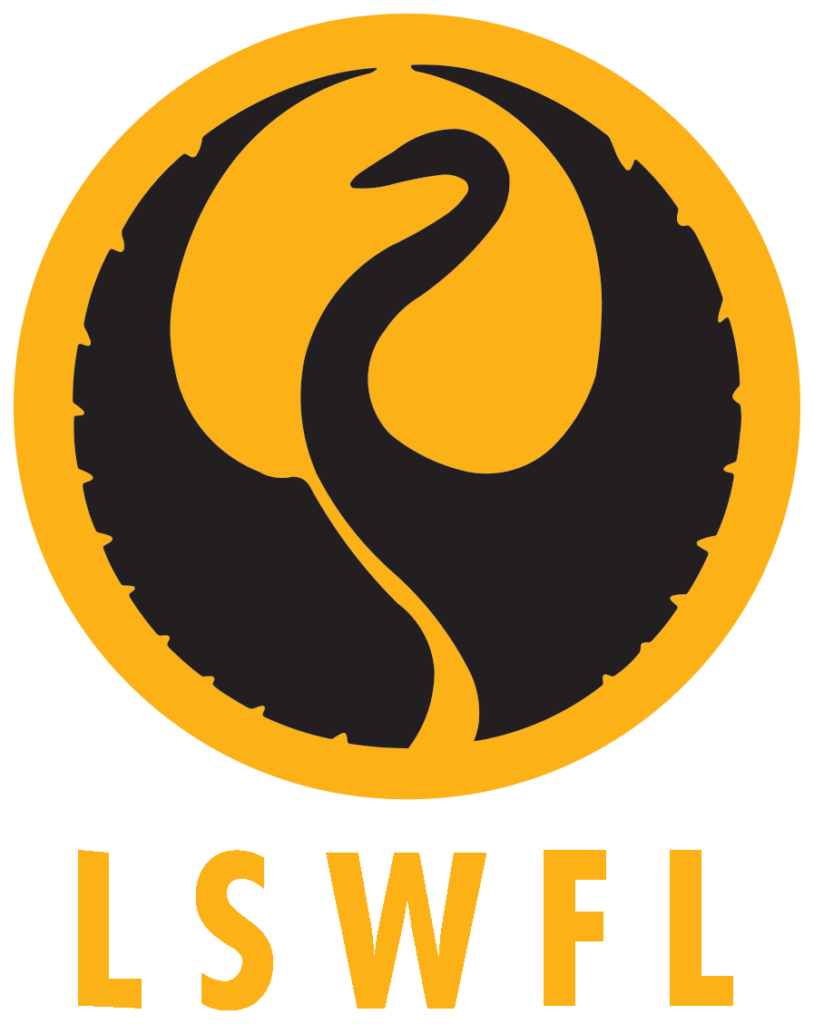 latest-news-lower-south-west-football-league